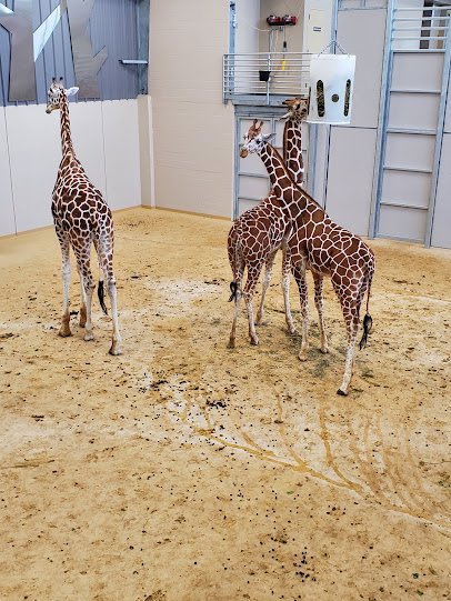 Lincoln Children's Zoo photo 3