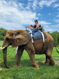 Natural Bridge Zoo