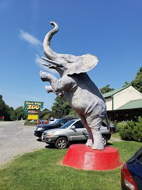 Natural Bridge Zoo photo 3