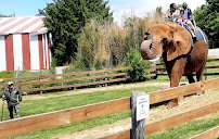 Natural Bridge Zoo photo 5