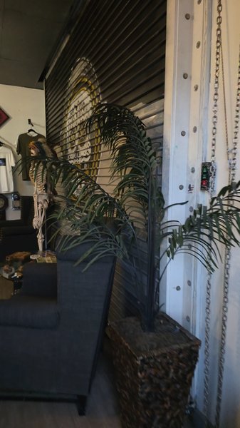 Escape Cocoa Beach photo 2