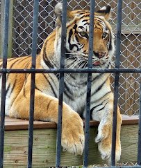 ZooWorld photo 6