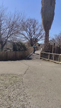 Alameda Park Zoo photo 2