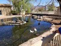 Alameda Park Zoo photo 3