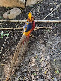 Alameda Park Zoo photo 6