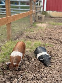 Plamann Park Children's Farm