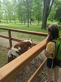 Plamann Park Children's Farm photo 2