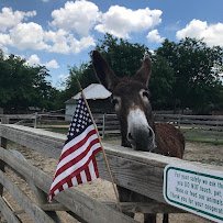Heritage Farmstead Museum photo 5