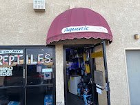 Aquatic Pets and Reptiles