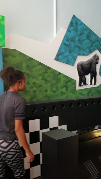 Imagination Station Science & History Museum photo 2