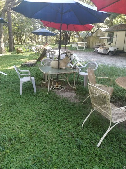Survival Outreach Sanctuary photo 6