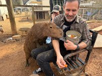 Darby Safari photo 2