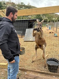 Darby Safari photo 5