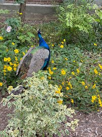 Prospect Park Zoo photo 3