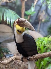 Prospect Park Zoo photo 4