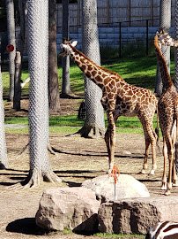 Seneca Park Zoo photo 3