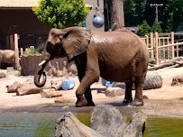 Seneca Park Zoo photo 5