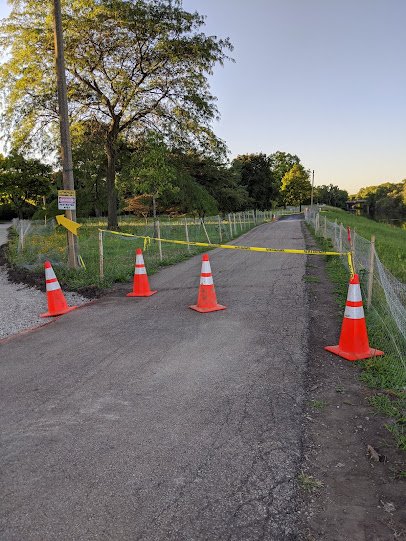 Legion Park Roller Hockey Rink photo 4