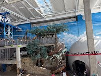 Science City at Union Station photo 3