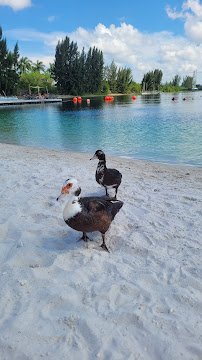 Aqua Challenge photo 2