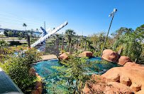 Congo River Golf photo 3