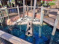 Congo River Golf photo 6