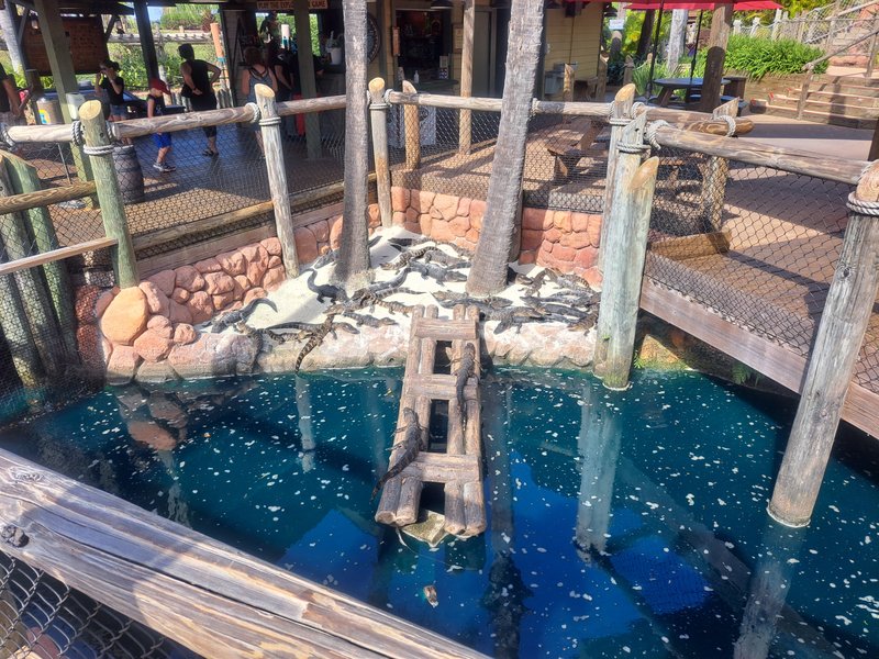 Congo River Golf photo 6
