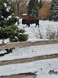 Brookfield Zoo Chicago South Gate photo 5