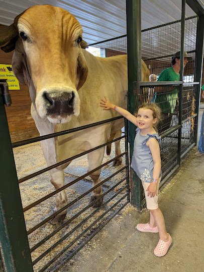 Green Meadows Petting Farm photo 3
