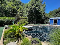 Lake Norman Miniature Golf photo 6