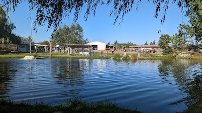 Old McDebbie's Farm / Jim's U-Fish photo 3