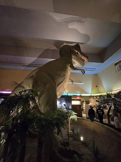 Springfield Museums photo 5