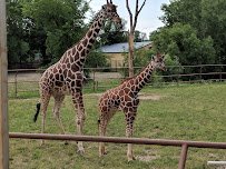 Roosevelt Park Zoo photo 3