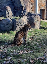 Roosevelt Park Zoo photo 6