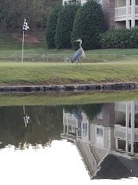 Paradise Valley Par 3 photo 6