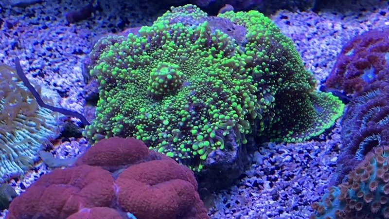 Aquarium of Boise photo 2