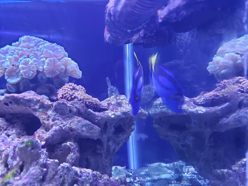 Aquarium of Boise photo 4