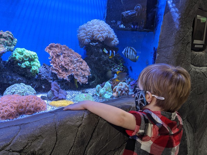 Aquarium of Boise photo 6