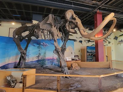 Owensboro Museum of Science and History photo 3