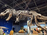 Orlando Science Center