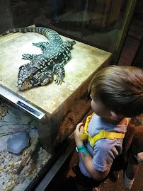 Orlando Science Center photo 5
