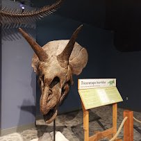 Orlando Science Center photo 6