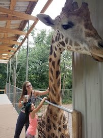 Zootastic Drive Thru SAFARI