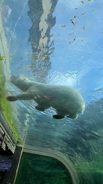 Polar Frontier photo 2