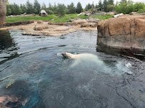 Polar Frontier photo 3