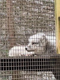 Polar Frontier photo 6