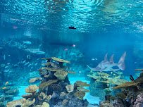 Seattle Aquarium Ocean Pavilion