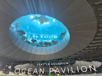 Seattle Aquarium Ocean Pavilion photo 4