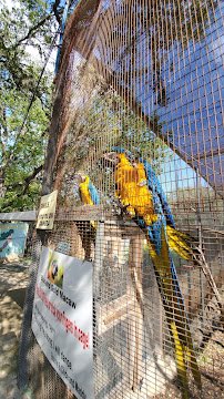 Wonder World Cave & Adventure Park photo 6