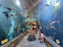 Oregon Coast Aquarium